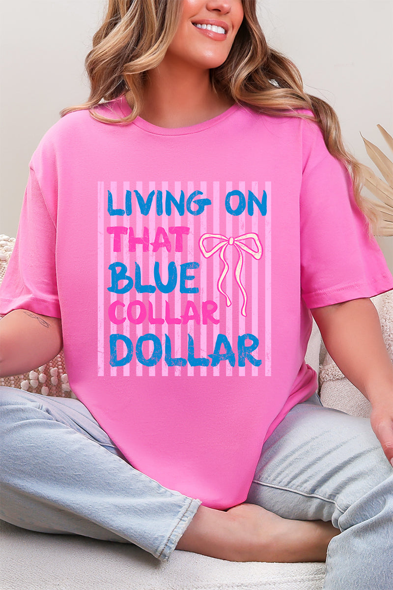 Striped Blue Collar Dollar Pink And Blue Softstyle Adult T-Shirt