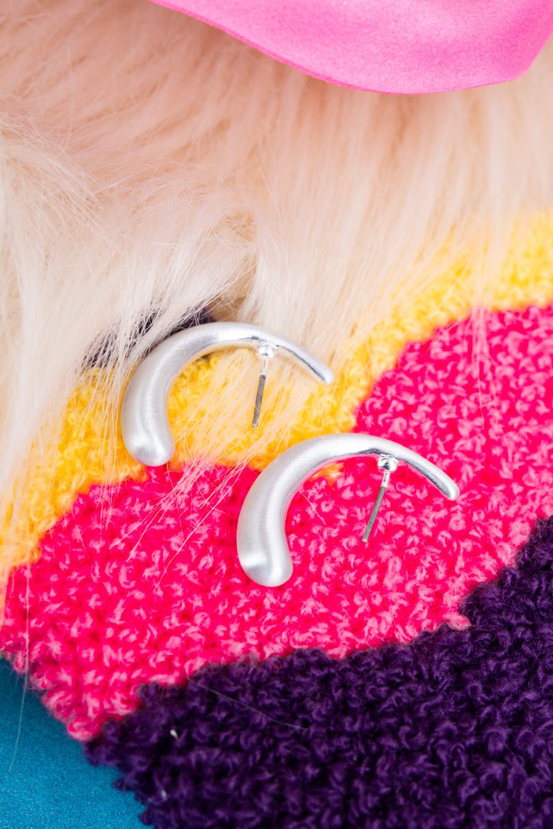 Simple Style Matte Silvertone Earrings - Wholesale Accessory Market