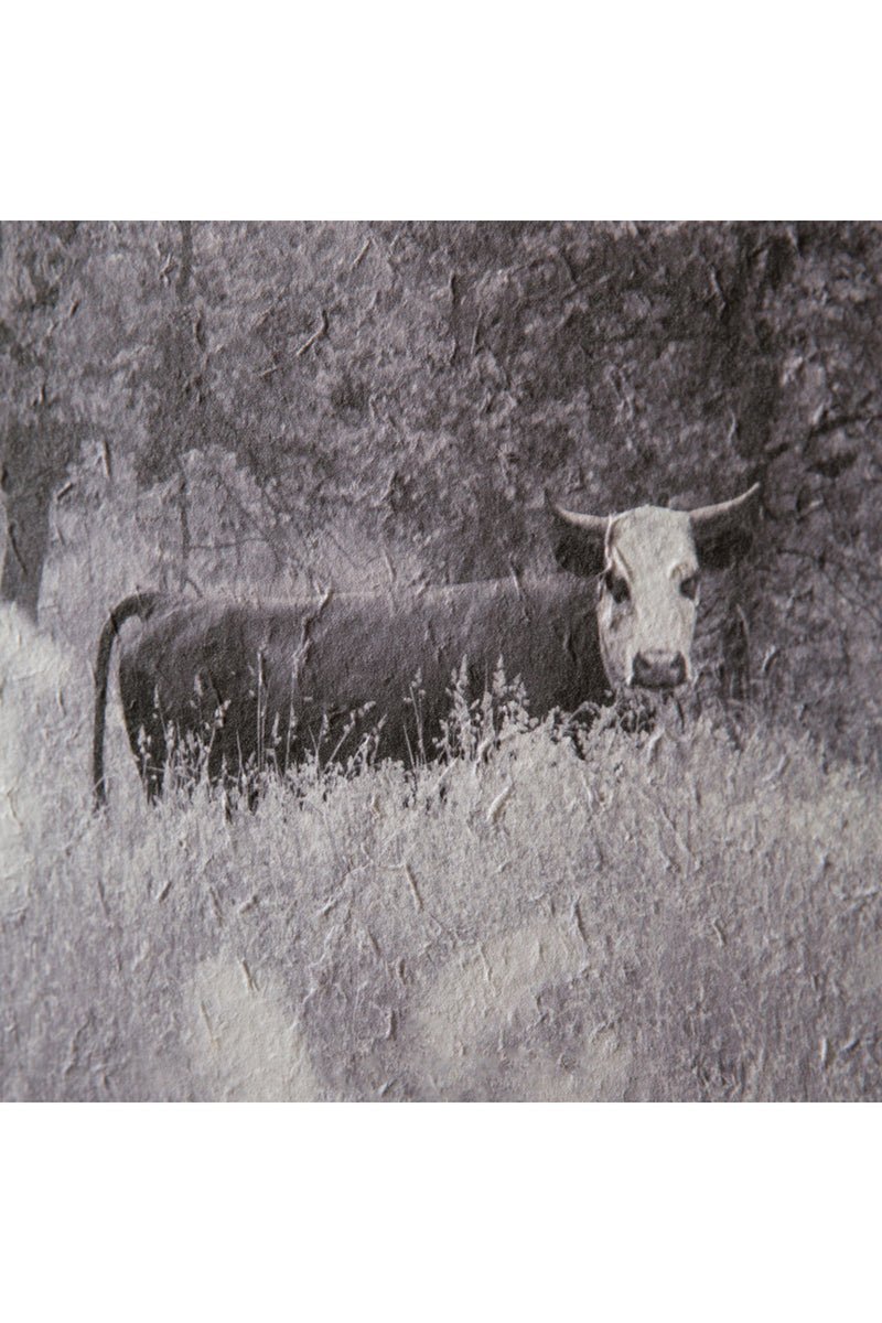 16 x 24 Bull In Pasture Wall Art - Wholesale Accessory Market