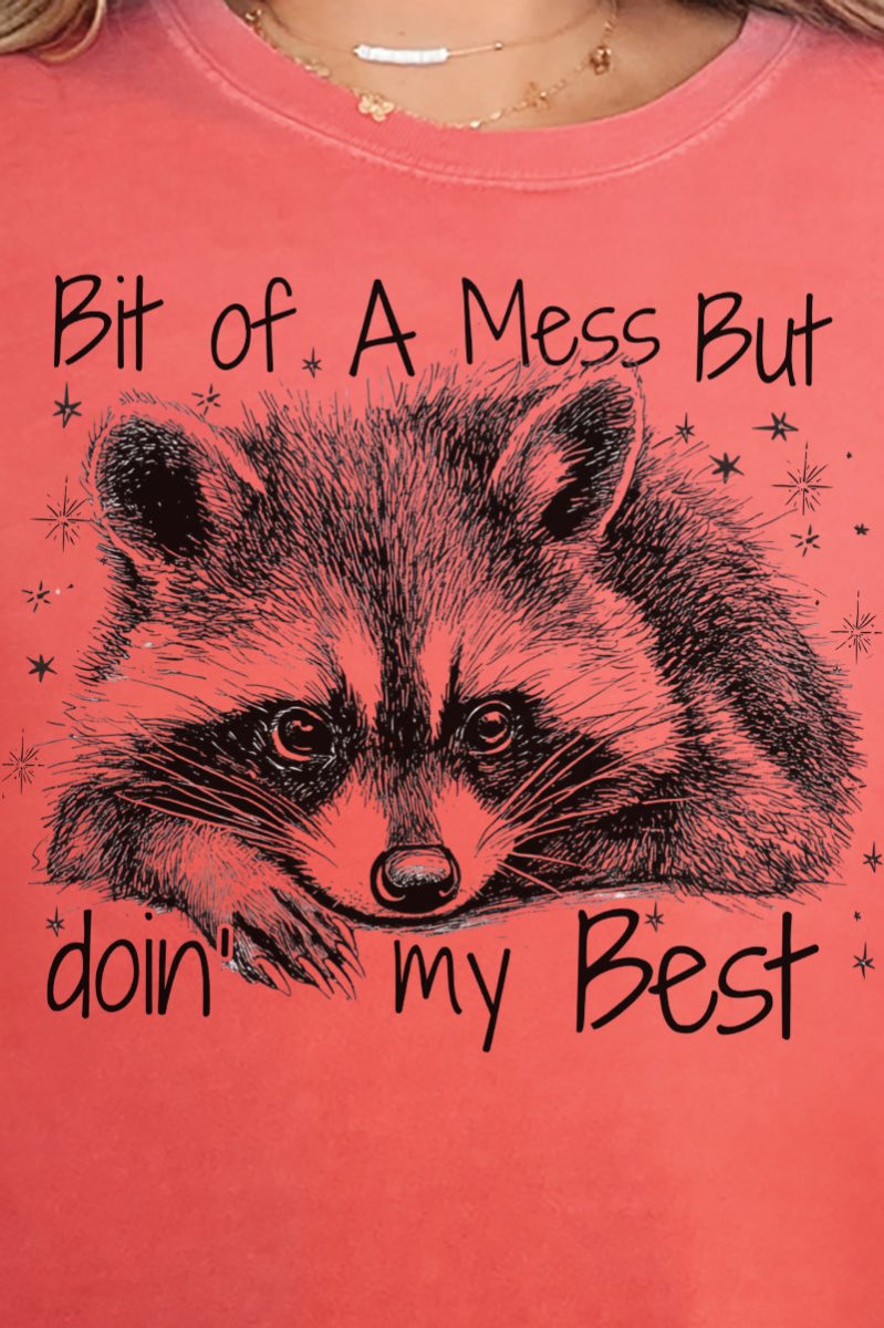 Doin' My Best Raccoon Comfort Colors Adult Ring - Spun Cotton Tee - Wholesale Accessory Market