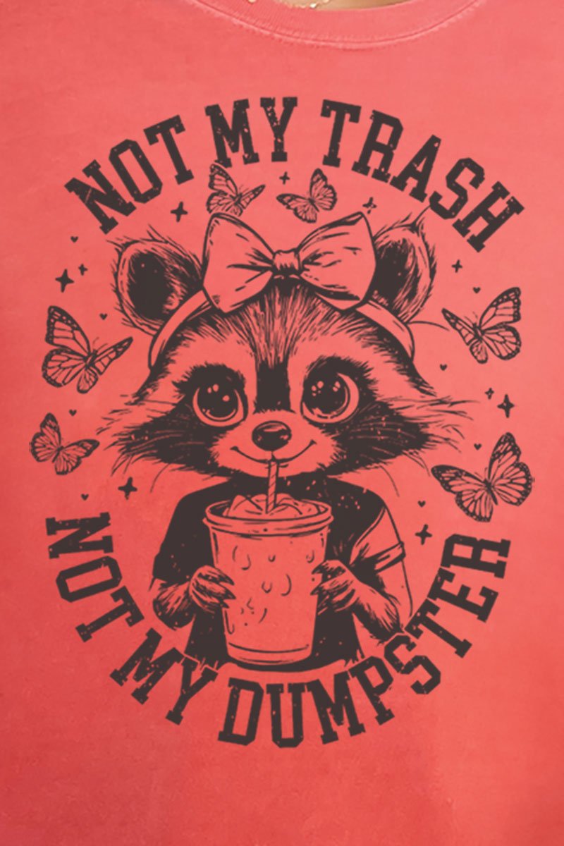 Not My Trash Not My Dumpster Comfort Colors Adult Ring - Spun Cotton Tee - Wholesale Accessory Market