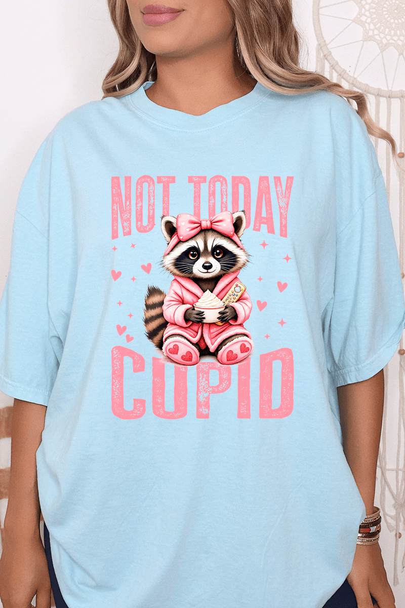 Not Today Cupid Comfort Colors Adult Ring - Spun Cotton Tee - Wholesale Accessory Market