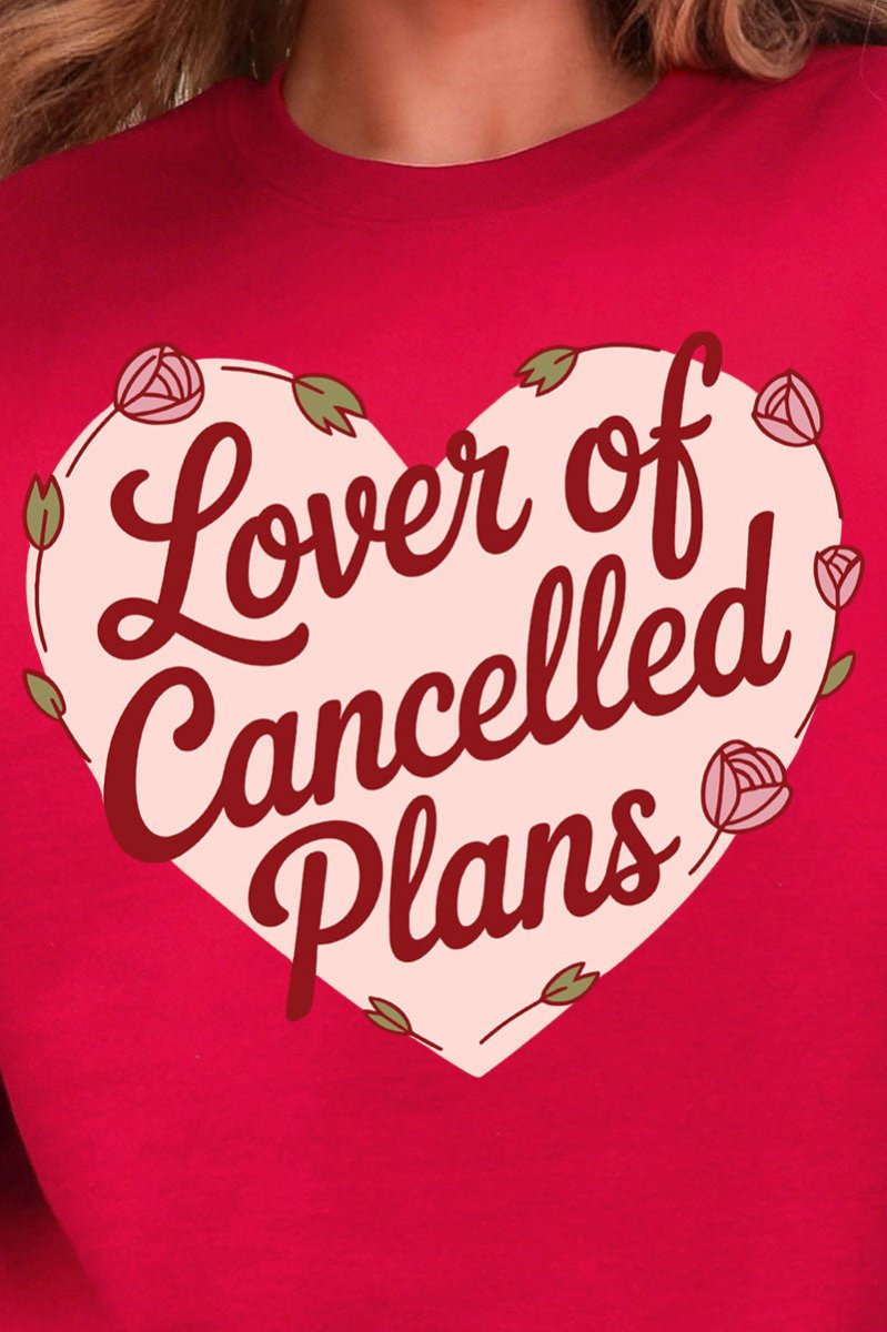 Lover Of Cancelled Plans Heavy Blend Crew Sweatshirt - Wholesale Accessory Market