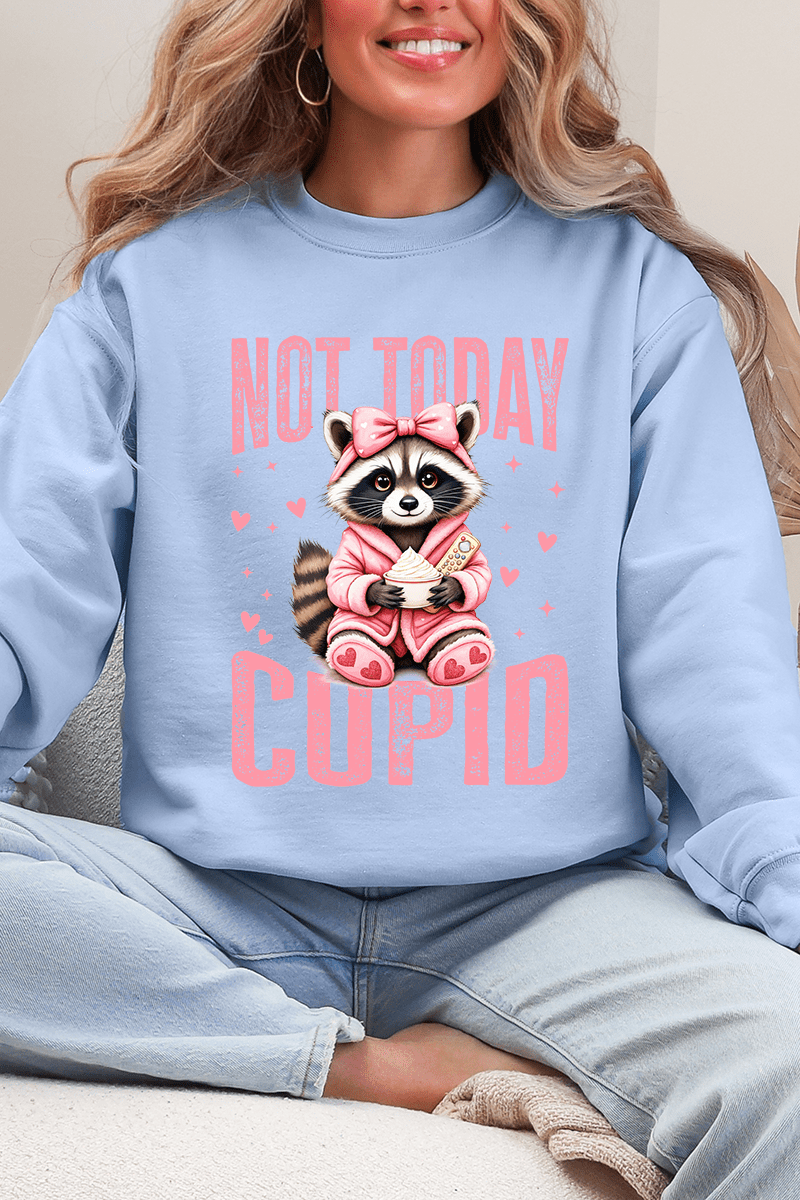 Not Today Cupid Ecosmart Crewneck Sweatshirt - Wholesale Accessory Market