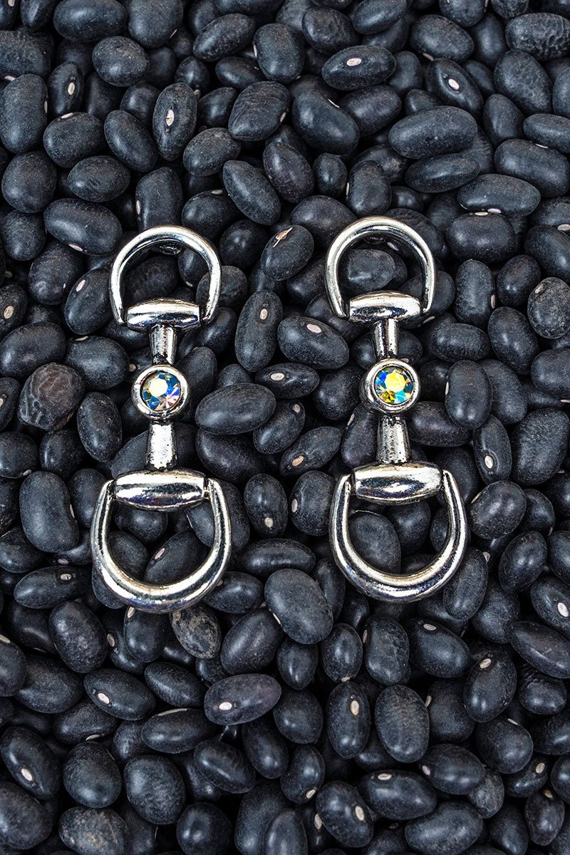 TIPI Iridescent Modern Bridle Silvertone Earrings - Wholesale Accessory Market