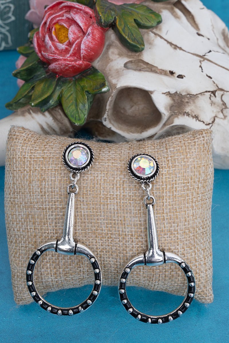 TIPI Iridescent Lexington Luxe Silvertone Earrings - Wholesale Accessory Market