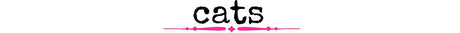 Cats - Wholesale Accessory Market