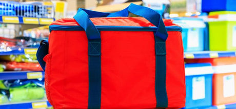 Wholesale Cooler Backpack