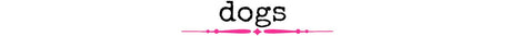 Dogs - Wholesale Accessory Market