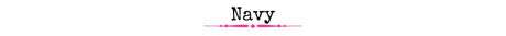 Navy - Wholesale Accessory Market