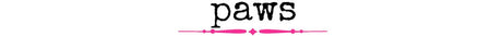 Paws - Wholesale Accessory Market