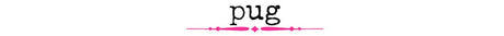 Pug - Wholesale Accessory Market