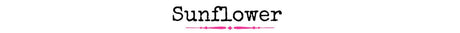 Sunflower Bags - Wholesale Accessory Market