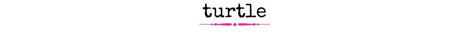 Turtle - Wholesale Accessory Market