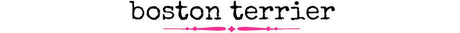 Wholesale Boston Terrier Gifts, Clothing and Accessories - Wholesale Accessory Market