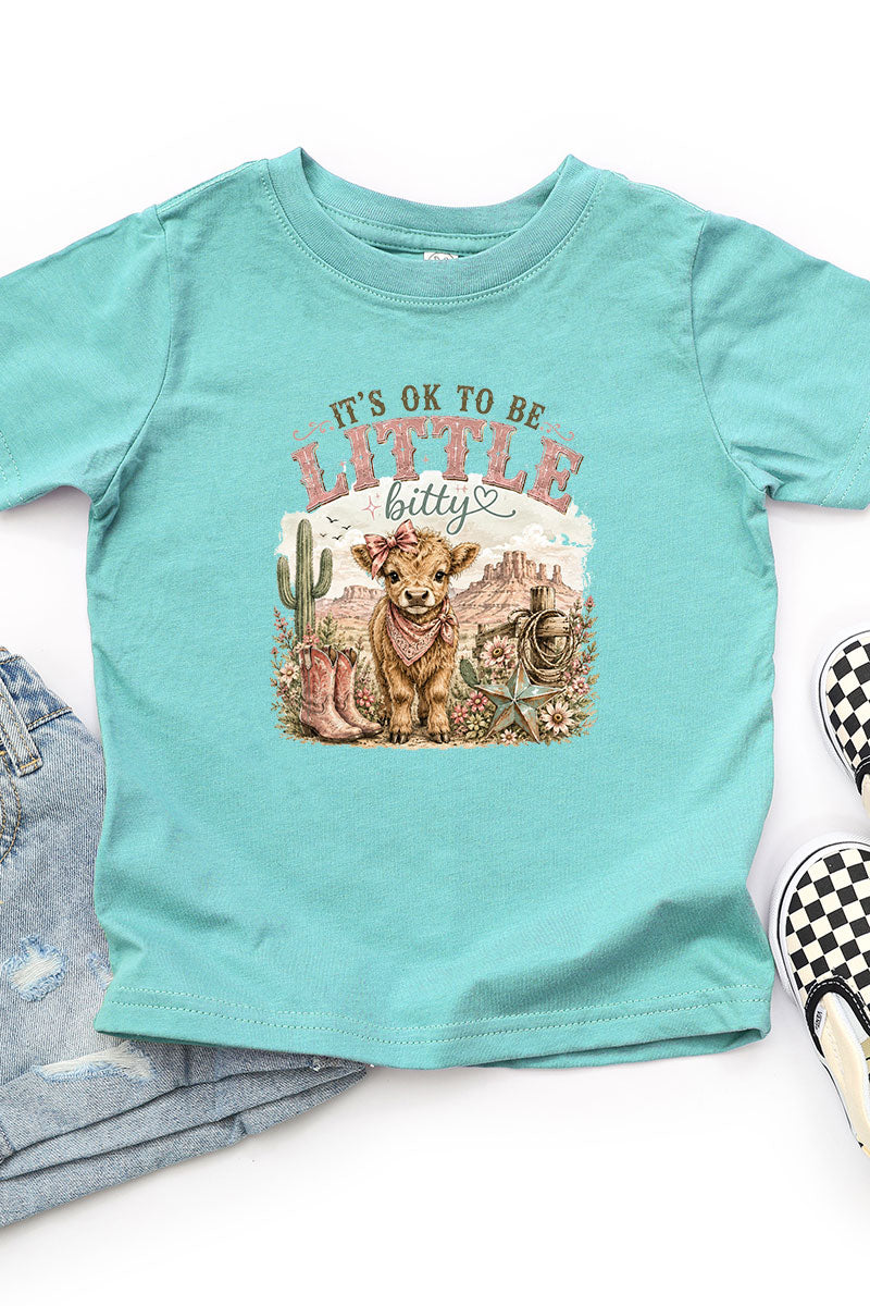 Toddler It's Ok To Be Little Bitty Fine Jersey Tee