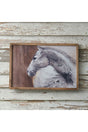 16 x 24 Peering Horse Wall Art - Wholesale Accessory Market