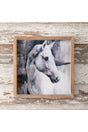 14 x 14 White Stallion Wall Art - Wholesale Accessory Market