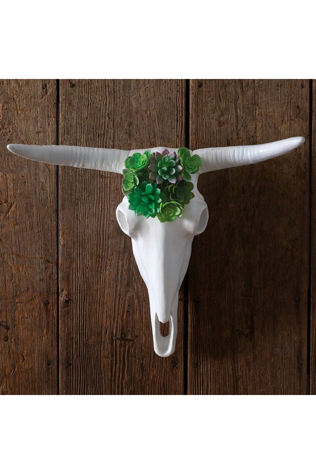 16 x 20 Longhorn Skull with Artificial Succulents - Wholesale Accessory Market