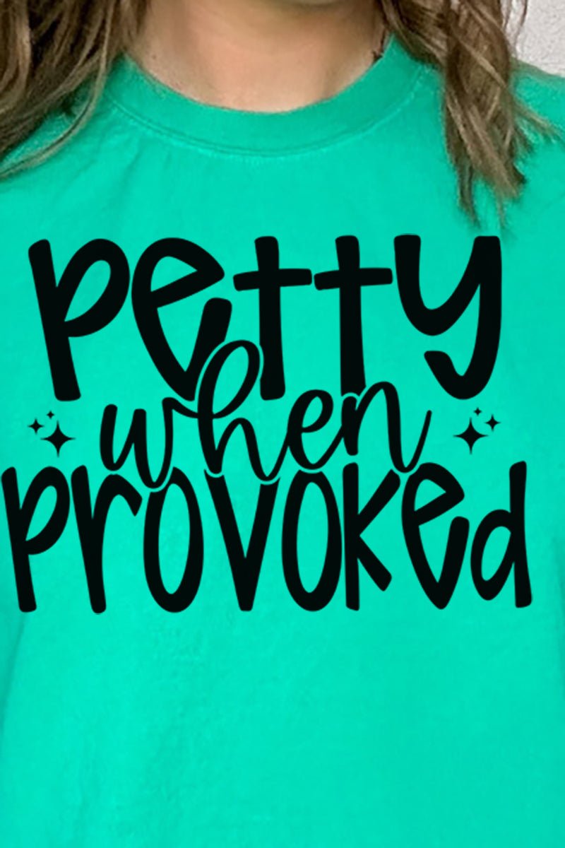 Petty When Provoked Comfort Colors Adult Ring - Spun Cotton Tee - Wholesale Accessory Market