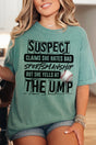 Suspect Yells At The Ump Comfort Colors Adult Ring - Spun Cotton Tee - Wholesale Accessory Market
