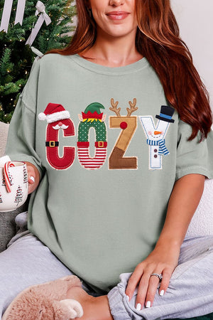 Christmas Characters Cozy Comfort Colors Adult Ring-Spun Cotton Tee - Wholesale Accessory Market