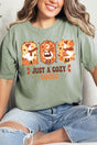Just A Cozy Goose Comfort Colors Adult Ring - Spun Cotton Tee - Wholesale Accessory Market