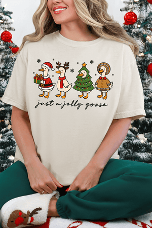 Just A Jolly Goose Comfort Colors Adult Ring - Spun Cotton Tee - Wholesale Accessory Market