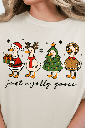 Just A Jolly Goose Comfort Colors Adult Ring - Spun Cotton Tee - Wholesale Accessory Market