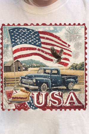 Vintage USA Stamp Comfort Colors Adult Ring - Spun Cotton Tee - Wholesale Accessory Market