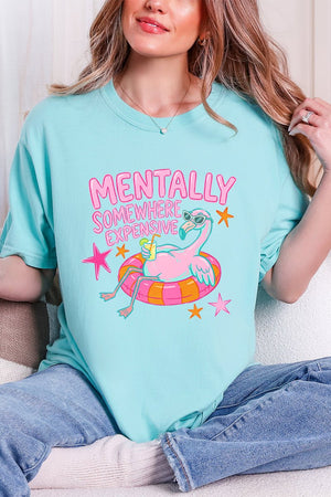 Mentally Somewhere Expensive Comfort Colors Adult Ring-Spun Cotton Tee - Wholesale Accessory Market