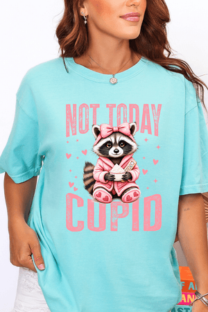 Not Today Cupid Comfort Colors Adult Ring - Spun Cotton Tee - Wholesale Accessory Market