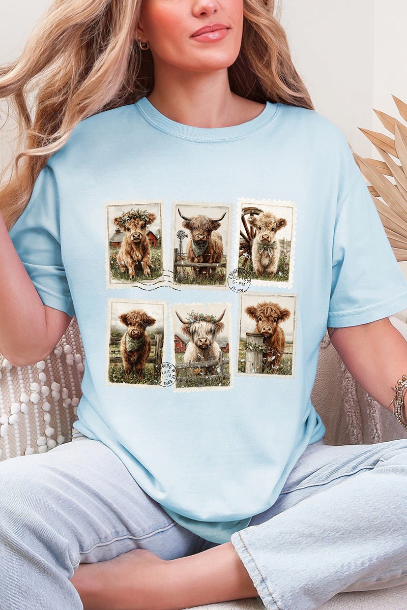 Pastures & Postcards Comfort Colors Adult Ring - Spun Cotton Tee - Wholesale Accessory Market