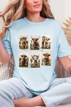 Pastures & Postcards Comfort Colors Adult Ring - Spun Cotton Tee - Wholesale Accessory Market