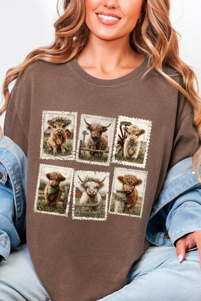 Pastures & Postcards Comfort Colors Adult Ring - Spun Cotton Tee - Wholesale Accessory Market
