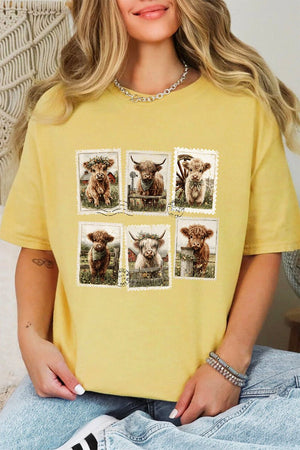 Pastures & Postcards Comfort Colors Adult Ring - Spun Cotton Tee - Wholesale Accessory Market