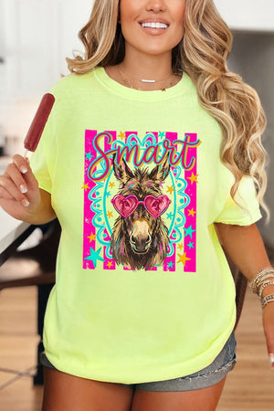 Smart Ass Comfort Colors Adult Ring - Spun Cotton Tee - Wholesale Accessory Market