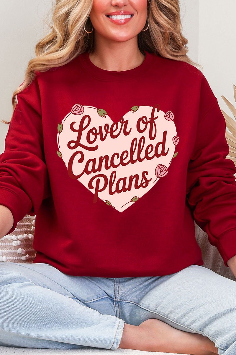 Lover Of Cancelled Plans Heavy Blend Crew Sweatshirt - Wholesale Accessory Market