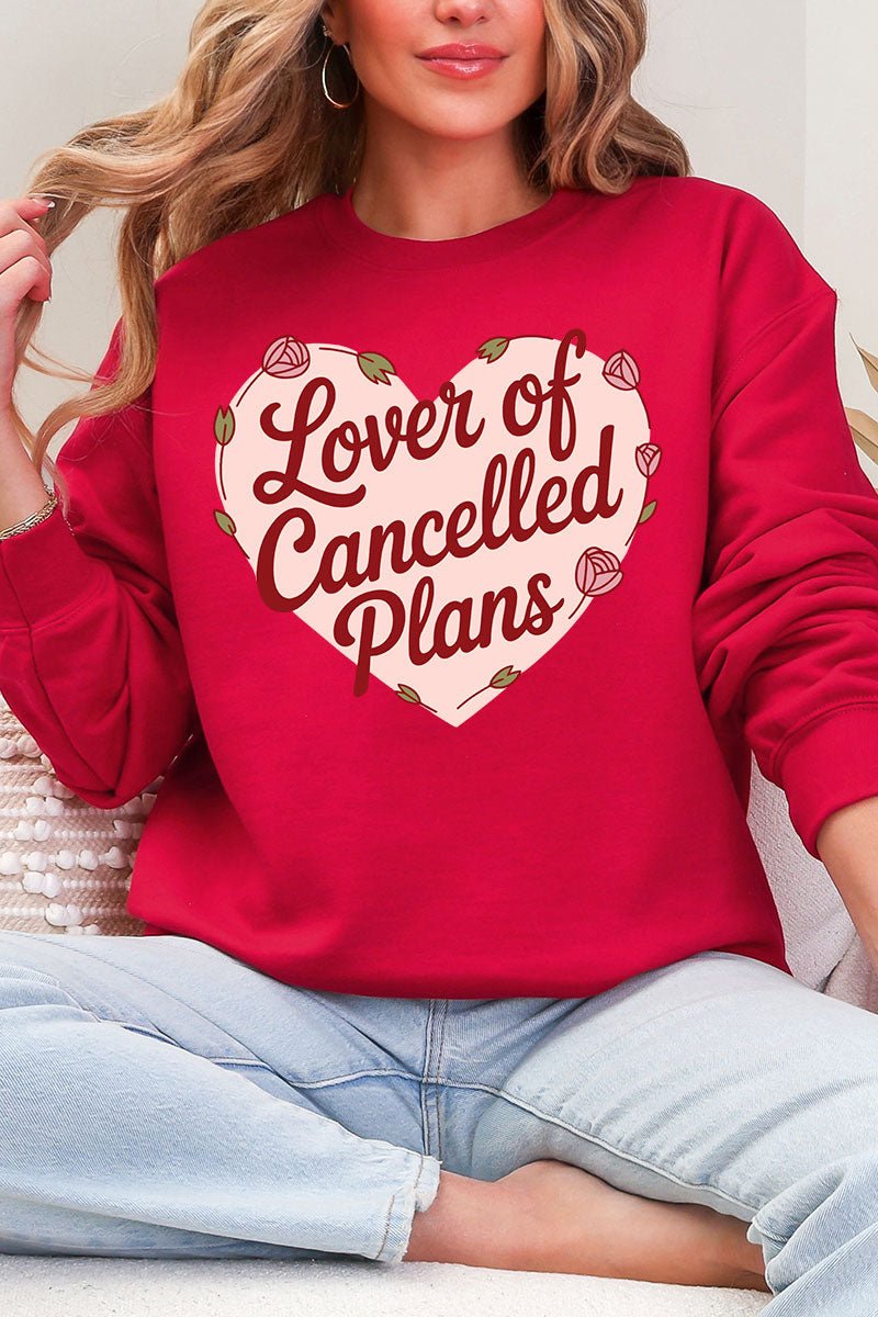 Lover Of Cancelled Plans Heavy Blend Crew Sweatshirt - Wholesale Accessory Market