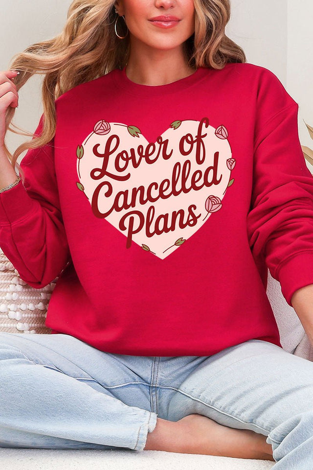 Lover Of Cancelled Plans Heavy Blend Crew Sweatshirt - Wholesale Accessory Market