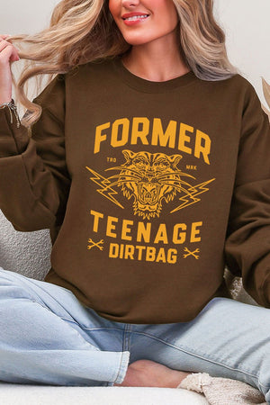 Former Teenage Dirtbag Ecosmart Crewneck Sweatshirt - Wholesale Accessory Market
