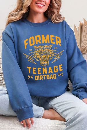 Former Teenage Dirtbag Ecosmart Crewneck Sweatshirt - Wholesale Accessory Market