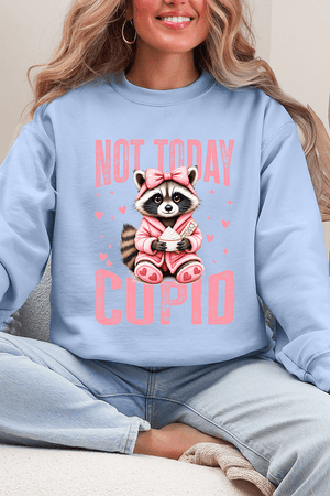 Not Today Cupid Ecosmart Crewneck Sweatshirt - Wholesale Accessory Market