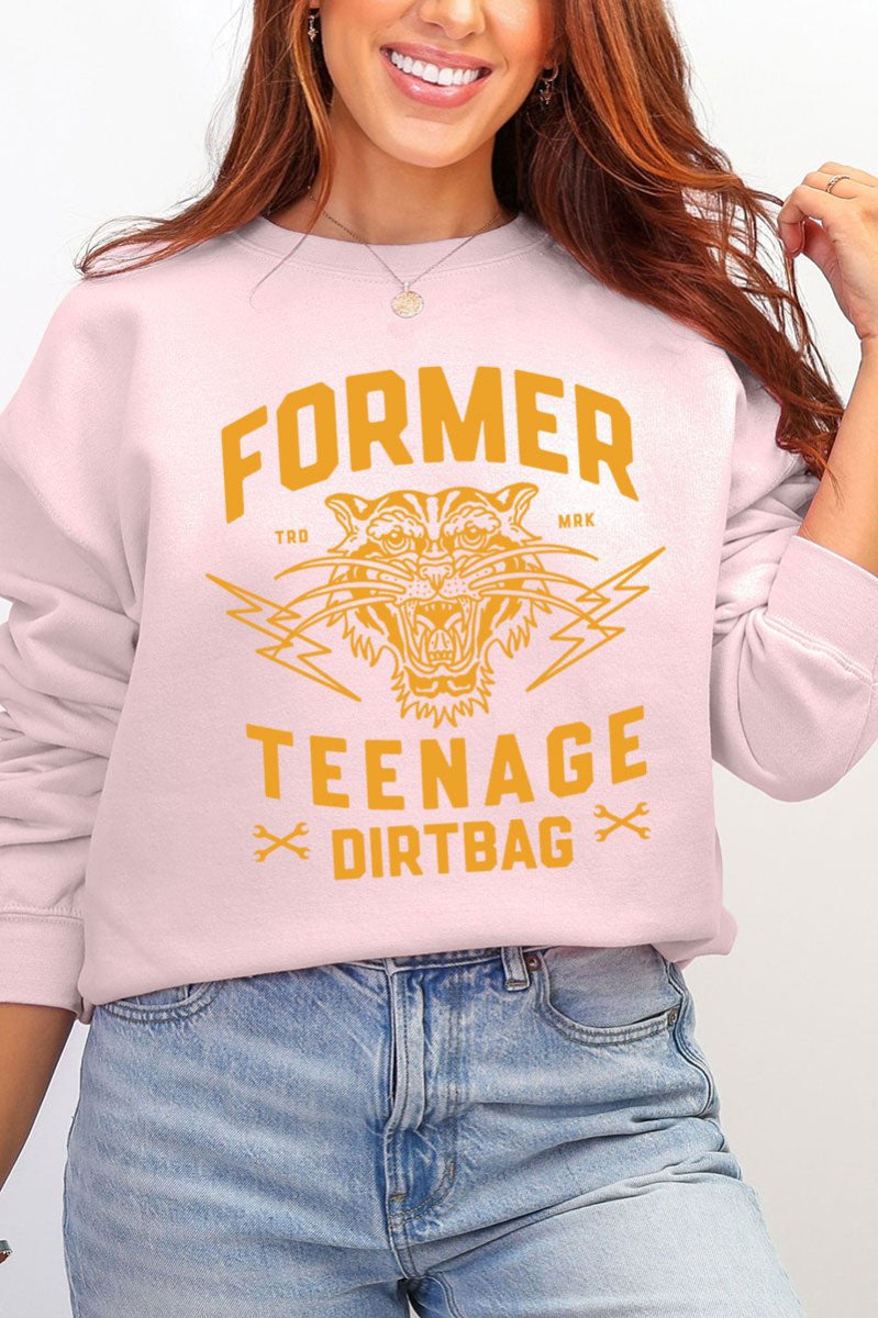 Former Teenage Dirtbag Ecosmart Crewneck Sweatshirt - Wholesale Accessory Market