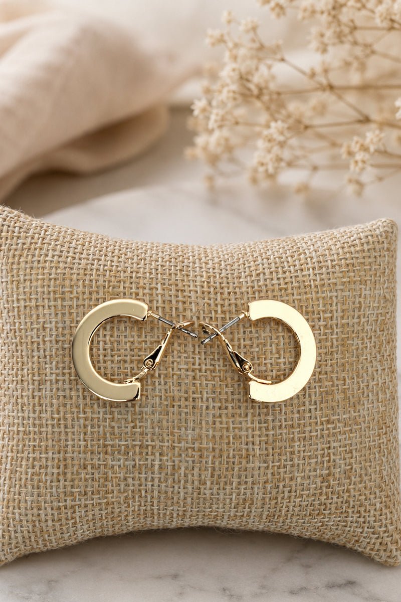 Penthouse Polish Goldtone Hoop Earrings - Wholesale Accessory Market