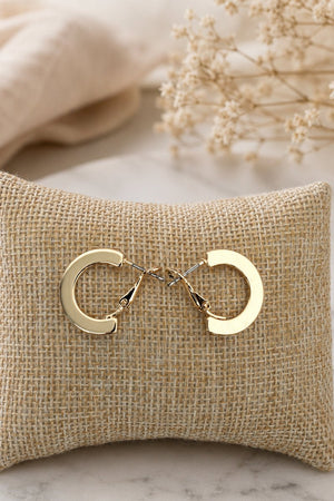 Penthouse Polish Goldtone Hoop Earrings - Wholesale Accessory Market