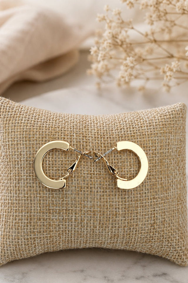 Penthouse Polish Goldtone Hoop Earrings - Wholesale Accessory Market