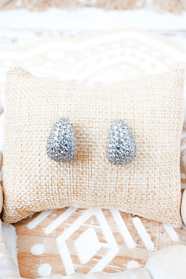 Crystal Avenue Cubic Zirconia Everlasting Shine Silvertone Earrings - Wholesale Accessory Market