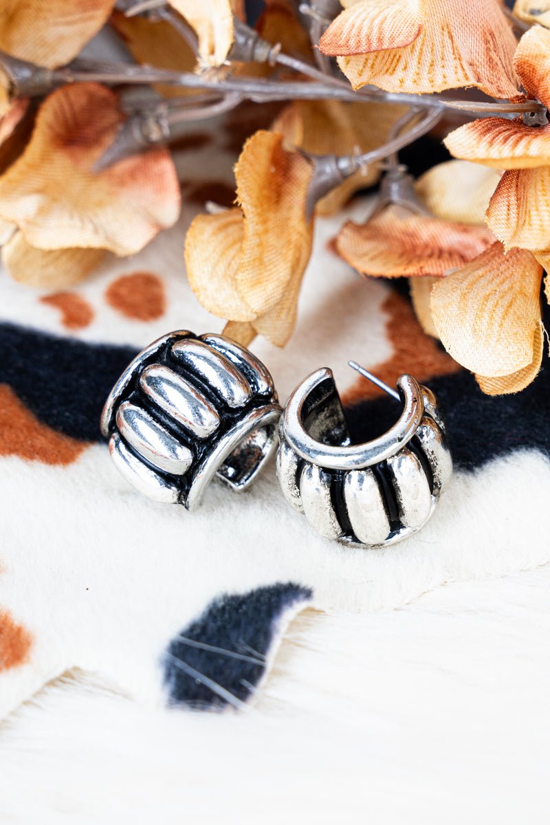 TIPI Thunder Valley Silvertone Studded Earrings - Wholesale Accessory Market