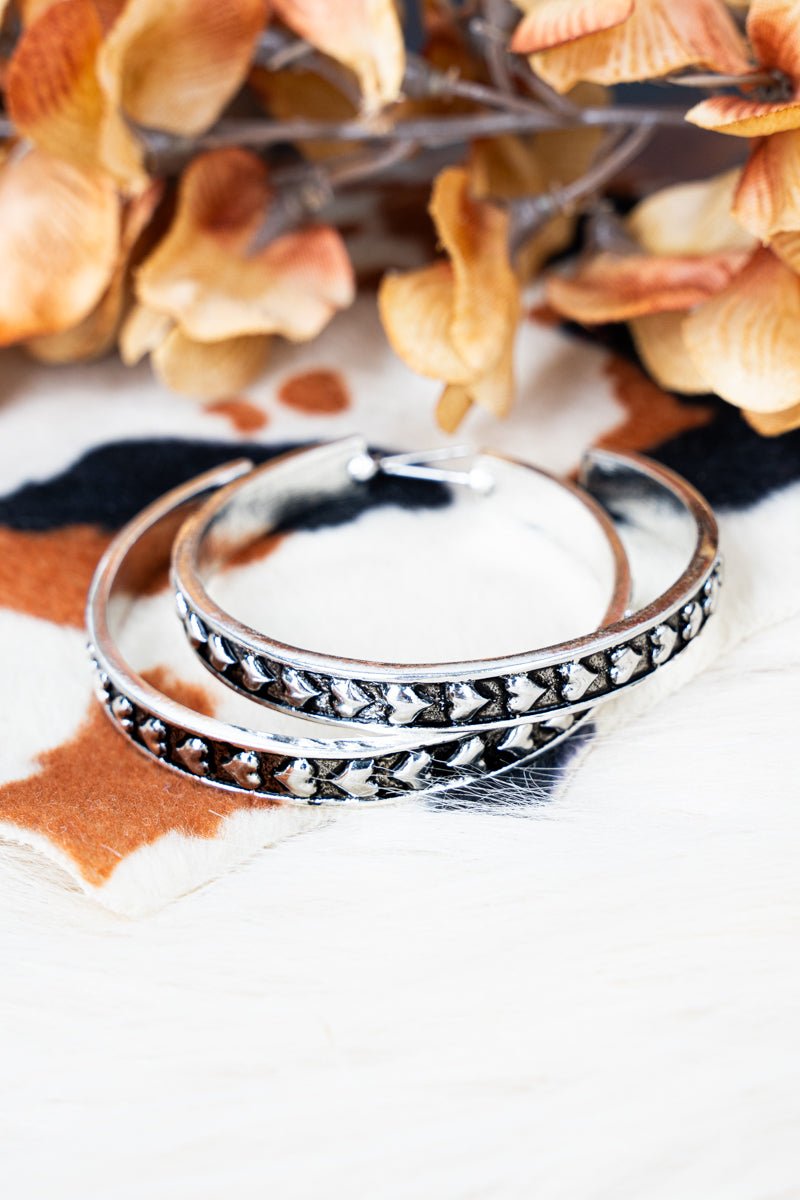 TIPI Heartfelt Horizon Silvertone Studded Earrings - Wholesale Accessory Market